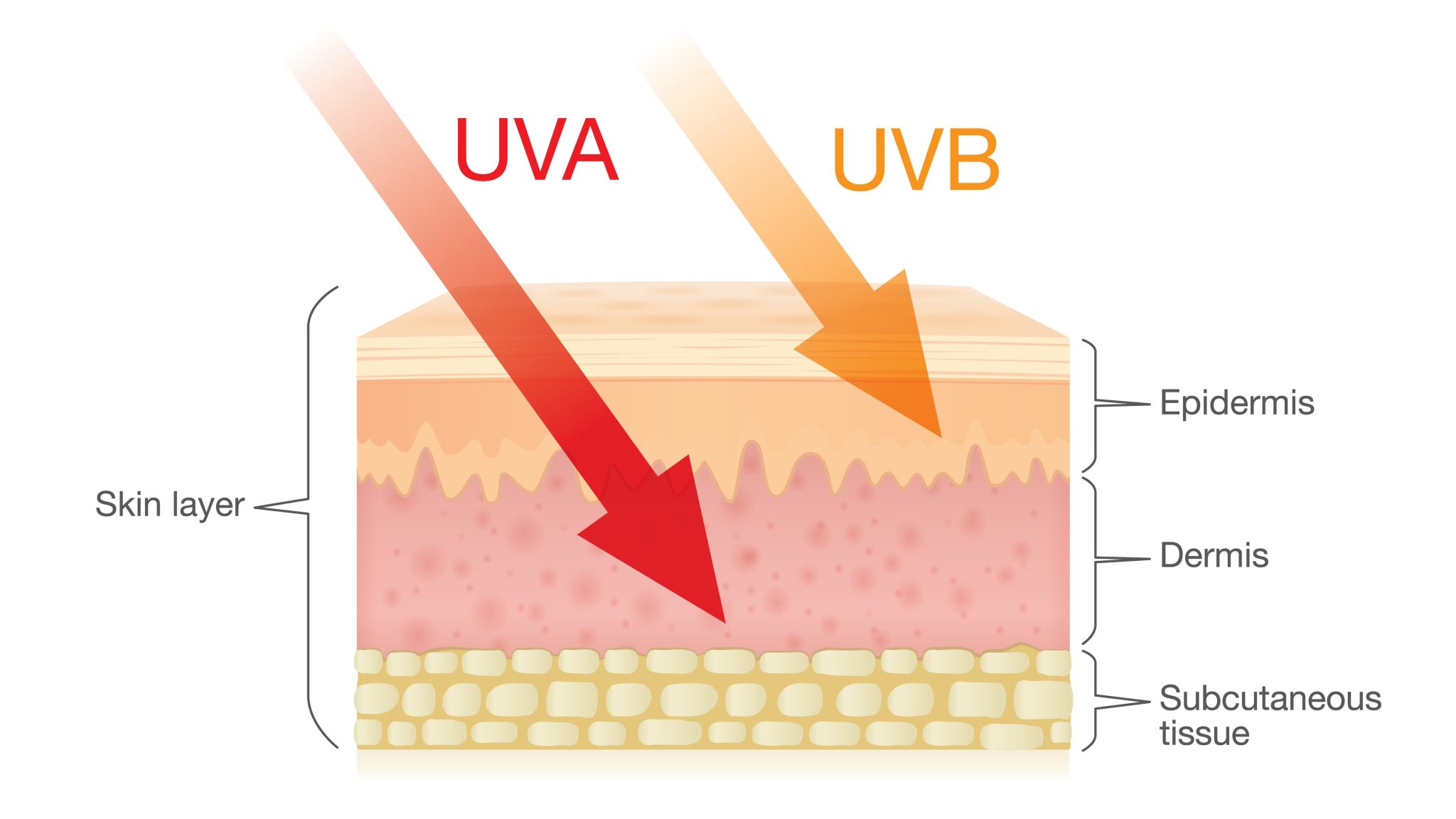 UVA И UVB как воздействуют на кожу